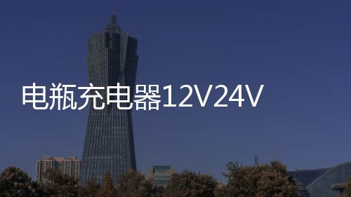 电瓶充电器12V24V汽车船用货车智能纯铜大功率充满自停水电瓶通用下载
