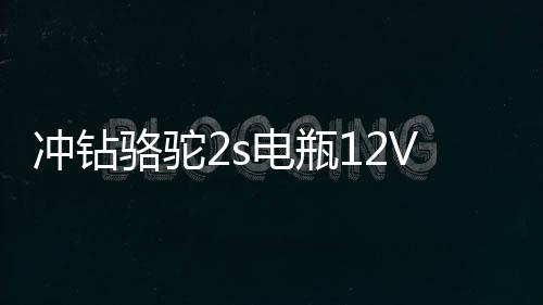 冲钻骆驼2s电瓶12V面包车6-QW-45AH46B24lLR汽车蓄电池下载
