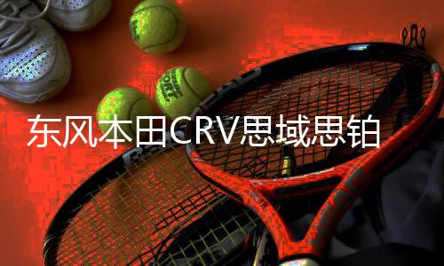 东风本田CRV思域思铂睿杰德哥瑞思铭原装45A瓦尔塔蓄电池汽车电瓶下载