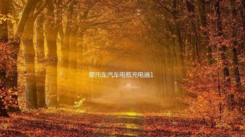 摩托车汽车电瓶充电器12v伏蓄电池修复充电机多功能通用型大功率下载