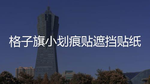 格子旗小划痕贴遮挡贴纸个性车贴 汽车拉花 前保险杠贴火焰图腾下载
