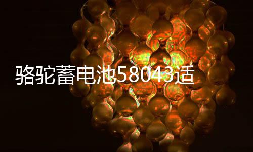 骆驼蓄电池58043适用于奥迪A6宝马3系奔驰揽胜汽车电瓶 以旧换新下载