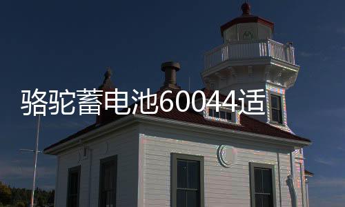 骆驼蓄电池60044适用路虎宝马7系奔驰S级100AH汽车电瓶 以旧换新下载
