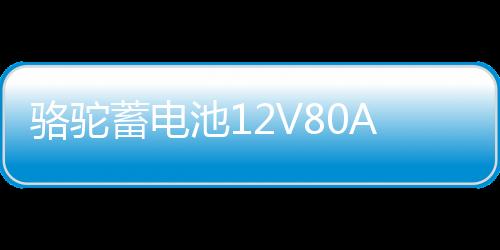 骆驼蓄电池12V80AH皮卡越野车85AH柴油车风骏5叉车汽车电瓶95D31下载