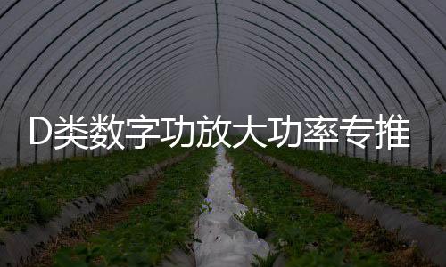 D类数字功放大功率专推单音圈双音圈10寸12寸喇叭无源低音炮功放下载