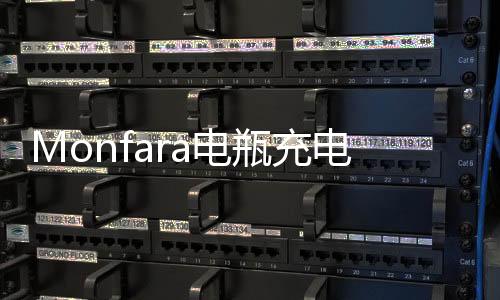 Monfara电瓶充电器12V24V专用汽车船用货车大功率充满自停纯铜下载