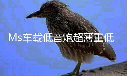Ms车载低音炮超薄重低音座椅下12v24v汽车专业改装大功率蓝牙音响下载