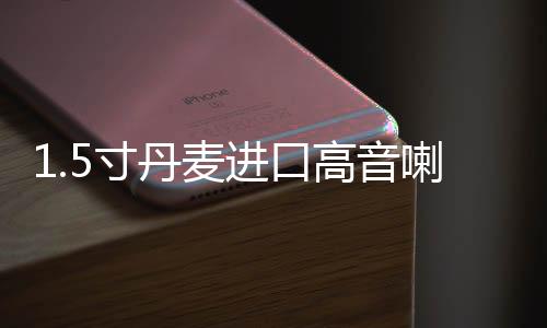 1.5寸丹麦进口高音喇叭二手拆车音响升级加装车载高音头发烧级下载